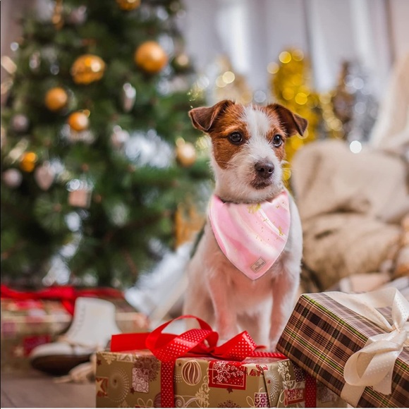 4 dog bandanas - Picture 7 of 9